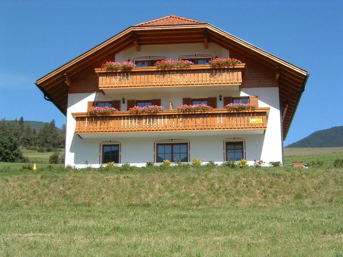 Stegerhof Apartment Monguelfo-Tesido / Welsberg-Taisten Bagian luar foto